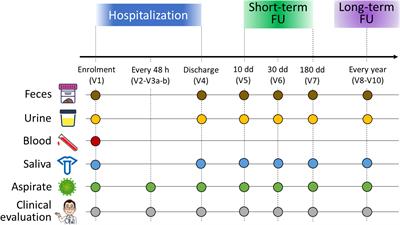 Gut, oral, and nasopharyngeal microbiota dynamics in the clinical course of hospitalized infants with respiratory syncytial virus bronchiolitis